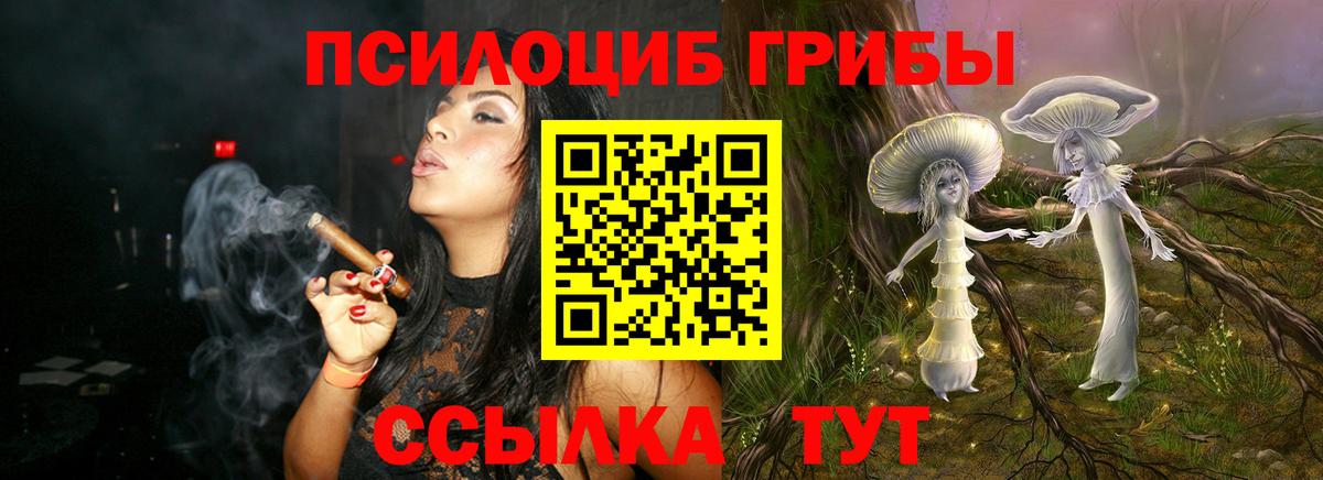 Галлюциногенные грибы мицелий Нижний Новгород